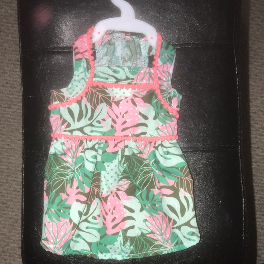 Adorable dog  dress 👗 🐾 💕